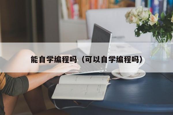 能自学编程吗（可以自学编程吗）