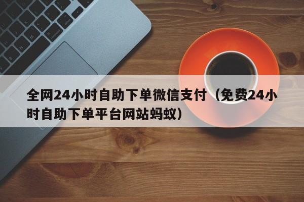 全网24小时自助下单微信支付（免费24小时自助下单平台网站蚂蚁）