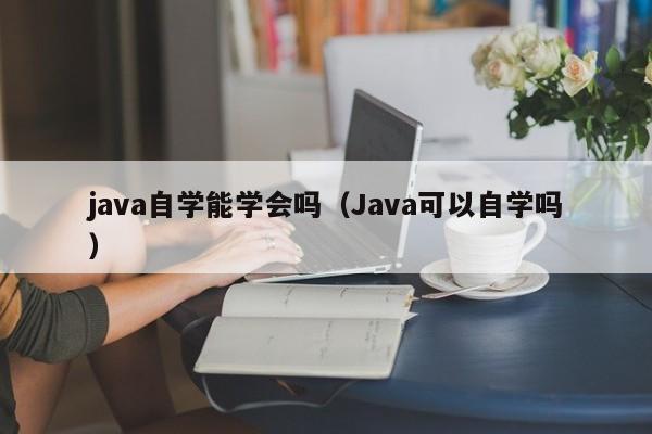 java自学能学会吗（Java可以自学吗）