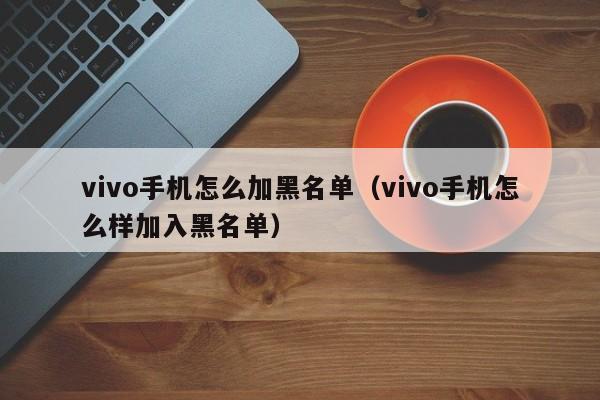 vivo手机怎么加黑名单（vivo手机怎么样加入黑名单）