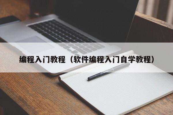 编程入门教程（软件编程入门自学教程）