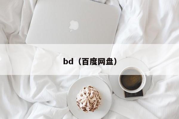 bd（百度网盘）