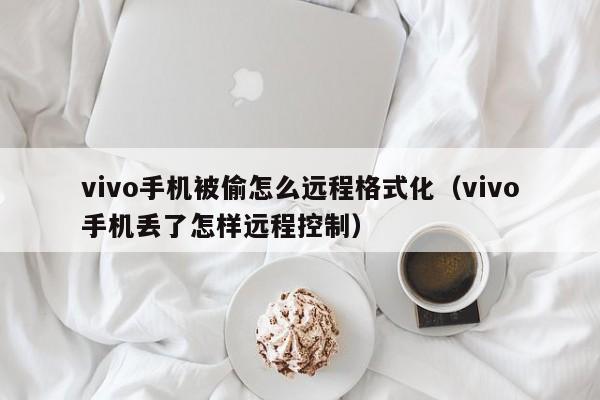 vivo手机被偷怎么远程格式化（vivo手机丢了怎样远程控制）