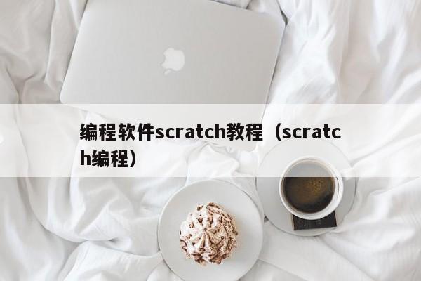 编程软件scratch教程（scratch编程）