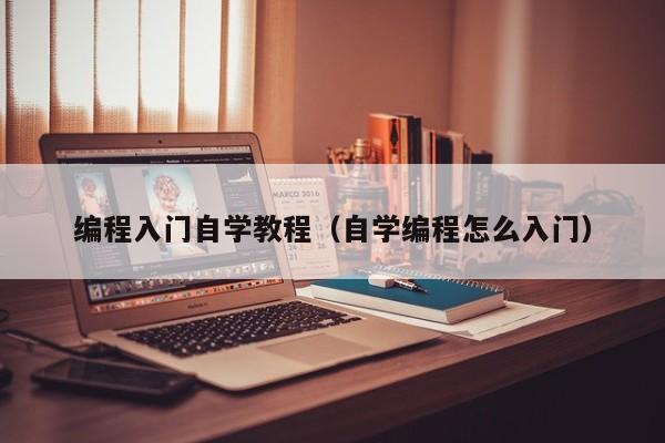 编程入门自学教程（自学编程怎么入门）