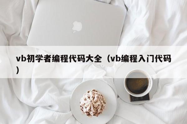 vb初学者编程代码大全（vb编程入门代码）