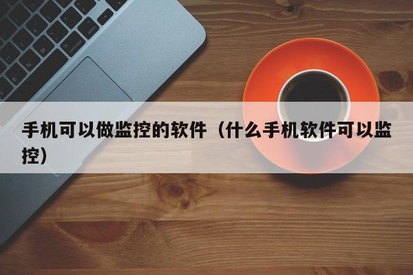 手机可以做监控的软件（什么手机软件可以监控）