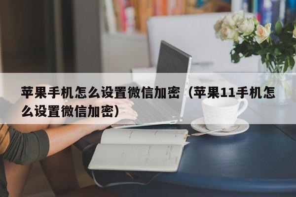 苹果手机怎么设置微信加密（苹果11手机怎么设置微信加密）