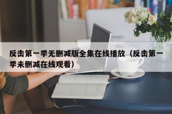 反击第一季无删减版全集在线播放（反击第一季未删减在线观看）