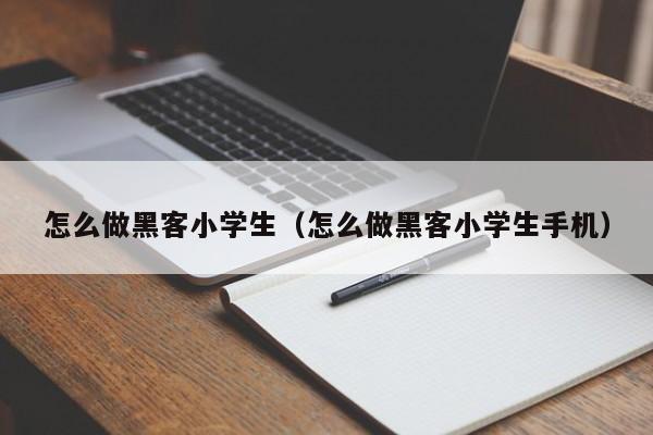 怎么做黑客小学生（怎么做黑客小学生手机）