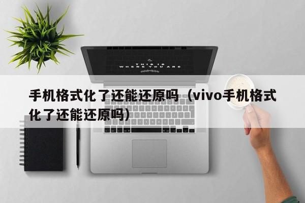 手机格式化了还能还原吗（vivo手机格式化了还能还原吗）