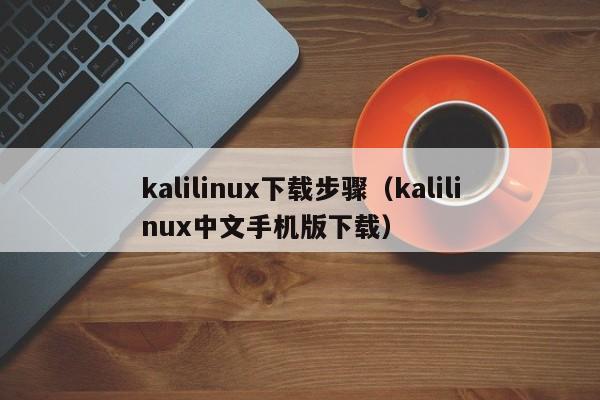 kalilinux下载步骤（kalilinux中文手机版下载）