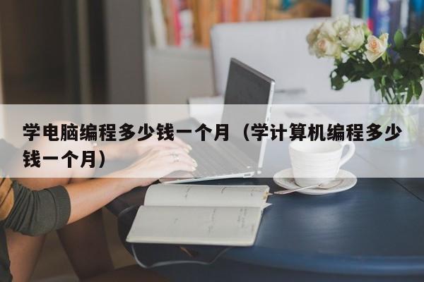 学电脑编程多少钱一个月（学计算机编程多少钱一个月）