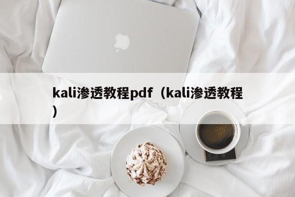 kali渗透教程pdf（kali渗透教程）