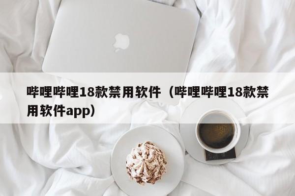 哔哩哔哩18款禁用软件（哔哩哔哩18款禁用软件app）