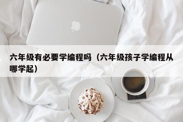 六年级有必要学编程吗（六年级孩子学编程从哪学起）