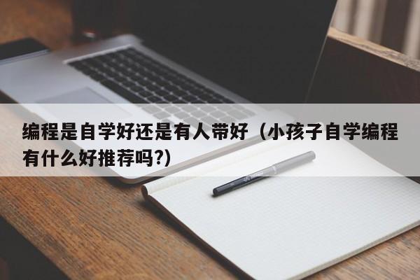 编程是自学好还是有人带好（小孩子自学编程有什么好推荐吗?）