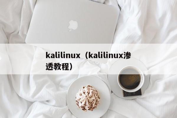 kalilinux（kalilinux渗透教程）