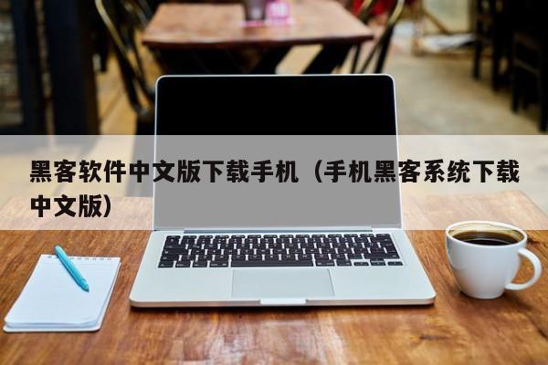 黑客软件中文版下载手机（手机黑客系统下载中文版）