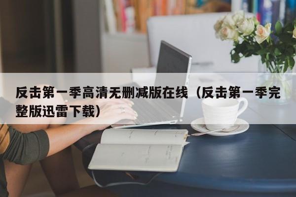 反击第一季高清无删减版在线（反击第一季完整版迅雷下载）