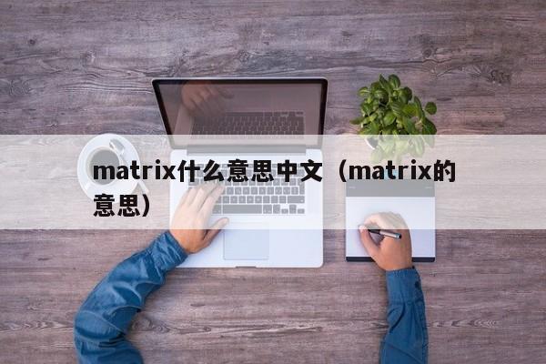 matrix什么意思中文（matrix的意思）