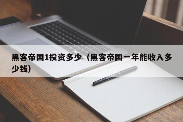 黑客帝国1投资多少（黑客帝国一年能收入多少钱）