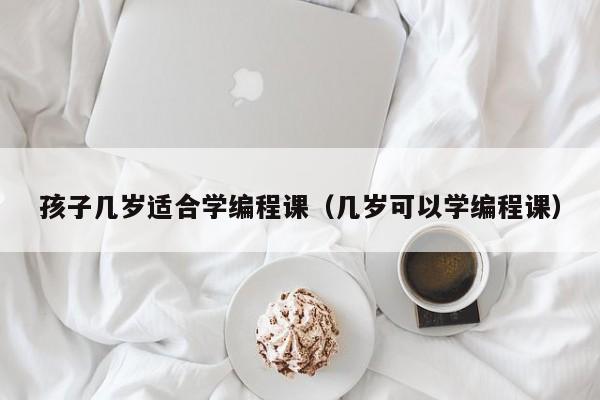 孩子几岁适合学编程课（几岁可以学编程课）