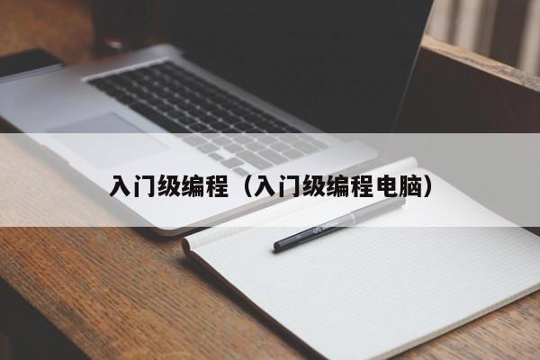 入门级编程（入门级编程电脑）