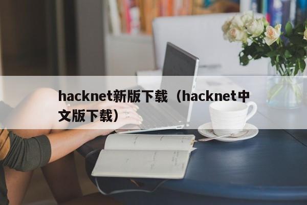 hacknet新版下载（hacknet中文版下载）