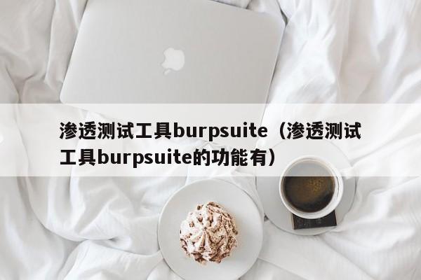 渗透测试工具burpsuite（渗透测试工具burpsuite的功能有）