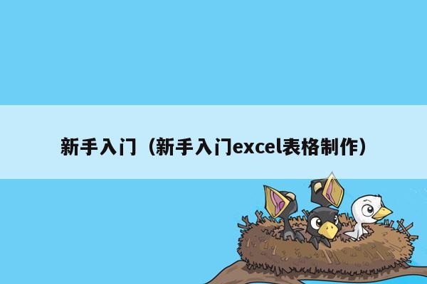 新手入门（新手入门excel表格制作）