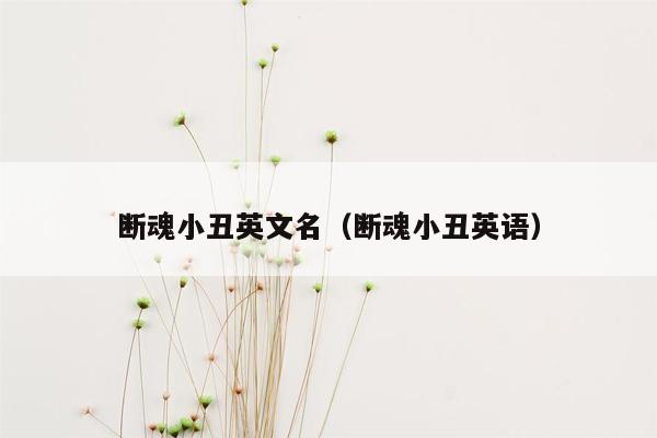 断魂小丑英文名（断魂小丑英语）