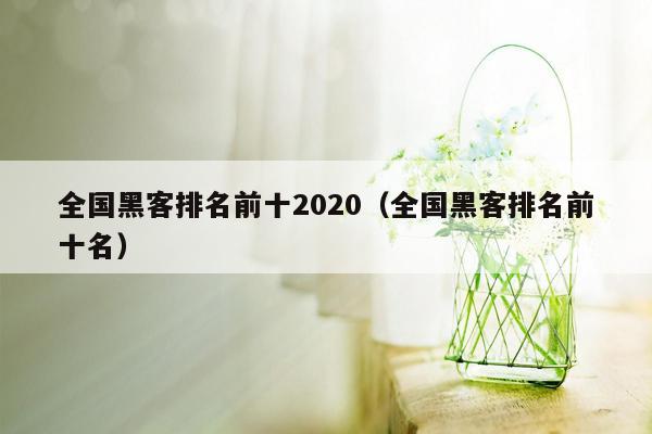 全国黑客排名前十2020（全国黑客排名前十名）