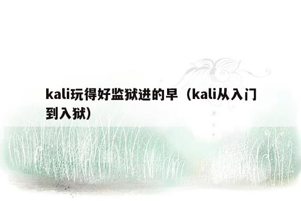 kali玩得好监狱进的早（kali从入门到入狱）