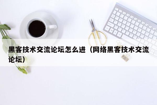 黑客技术交流论坛怎么进（网络黑客技术交流论坛）