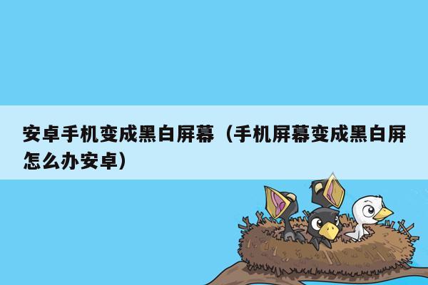 安卓手机变成黑白屏幕（手机屏幕变成黑白屏怎么办安卓）