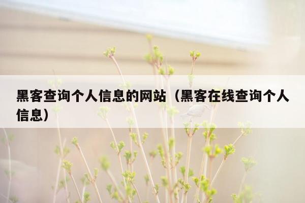 黑客查询个人信息的网站（黑客在线查询个人信息）