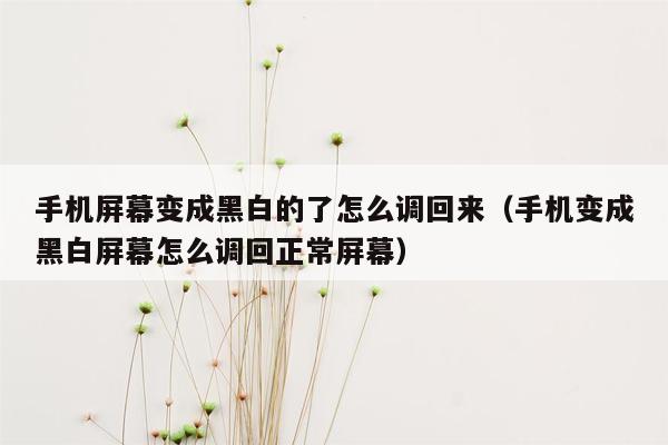 手机屏幕变成黑白的了怎么调回来（手机变成黑白屏幕怎么调回正常屏幕）