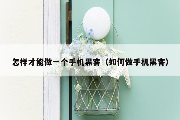 怎样才能做一个手机黑客（如何做手机黑客）