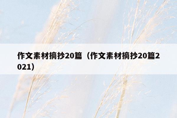 作文素材摘抄20篇（作文素材摘抄20篇2021）