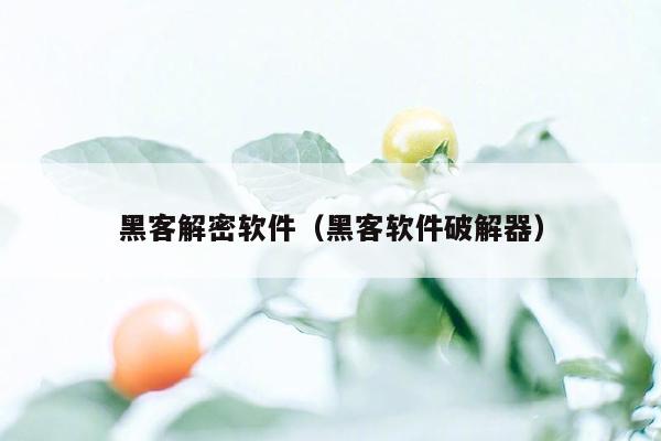 黑客解密软件（黑客软件破解器）