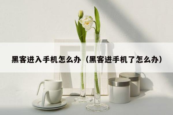 黑客进入手机怎么办（黑客进手机了怎么办）