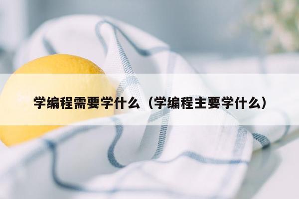 学编程需要学什么（学编程主要学什么）