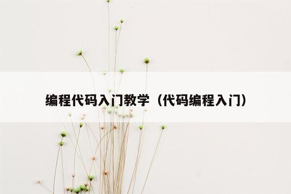 编程代码入门教学（代码编程入门）