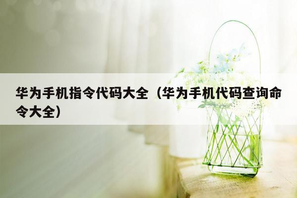 华为手机指令代码大全（华为手机代码查询命令大全）