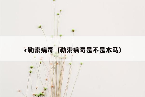 c勒索病毒（勒索病毒是不是木马）