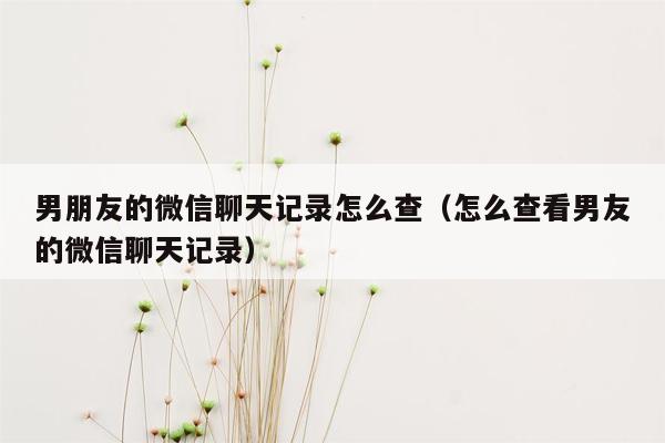 男朋友的微信聊天记录怎么查（怎么查看男友的微信聊天记录）