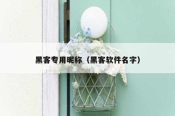 黑客专用昵称（黑客软件名字）