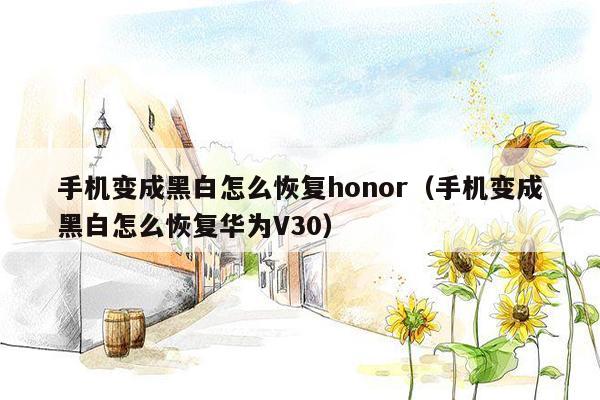 手机变成黑白怎么恢复honor（手机变成黑白怎么恢复华为V30）