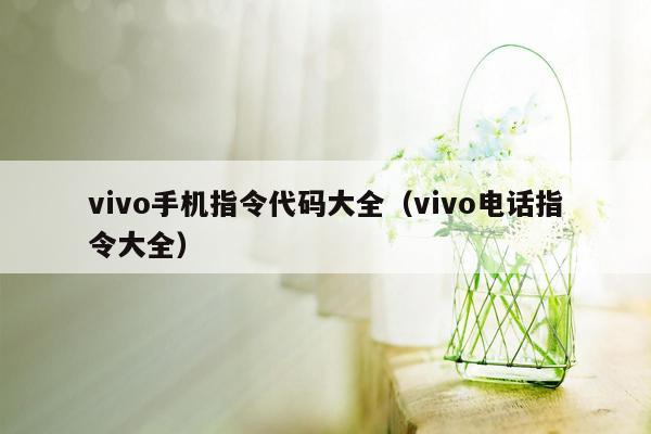 vivo手机指令代码大全（vivo电话指令大全）